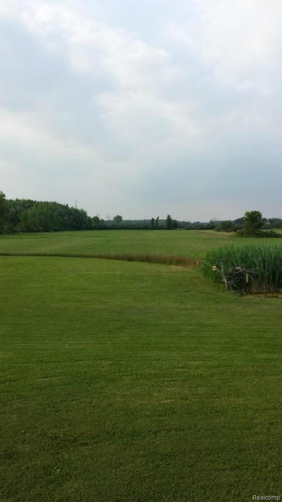 15402 Donald Road Capac, MI 48014 - Photo 27 of 27 1.b Farmland with tree rows