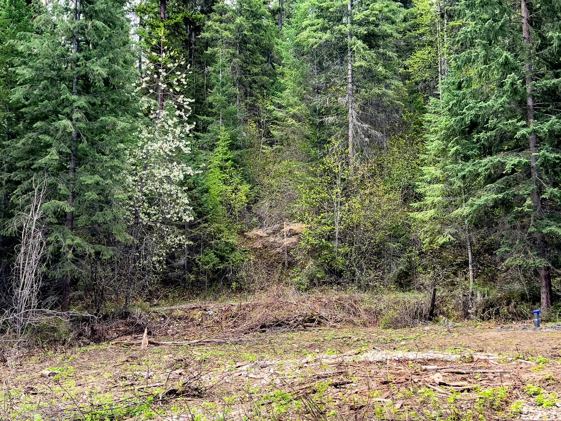 3308 Deep Lake Boundary Road Colville, WA 99114 - Photo 10 of 19