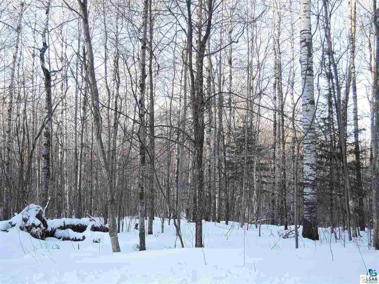 Eight Rd Grand View Cable, WI 54821 - Photo 5 of 7