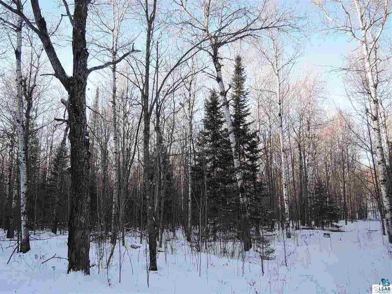Eight Rd Grand View Cable, WI 54821 - Photo 6 of 7