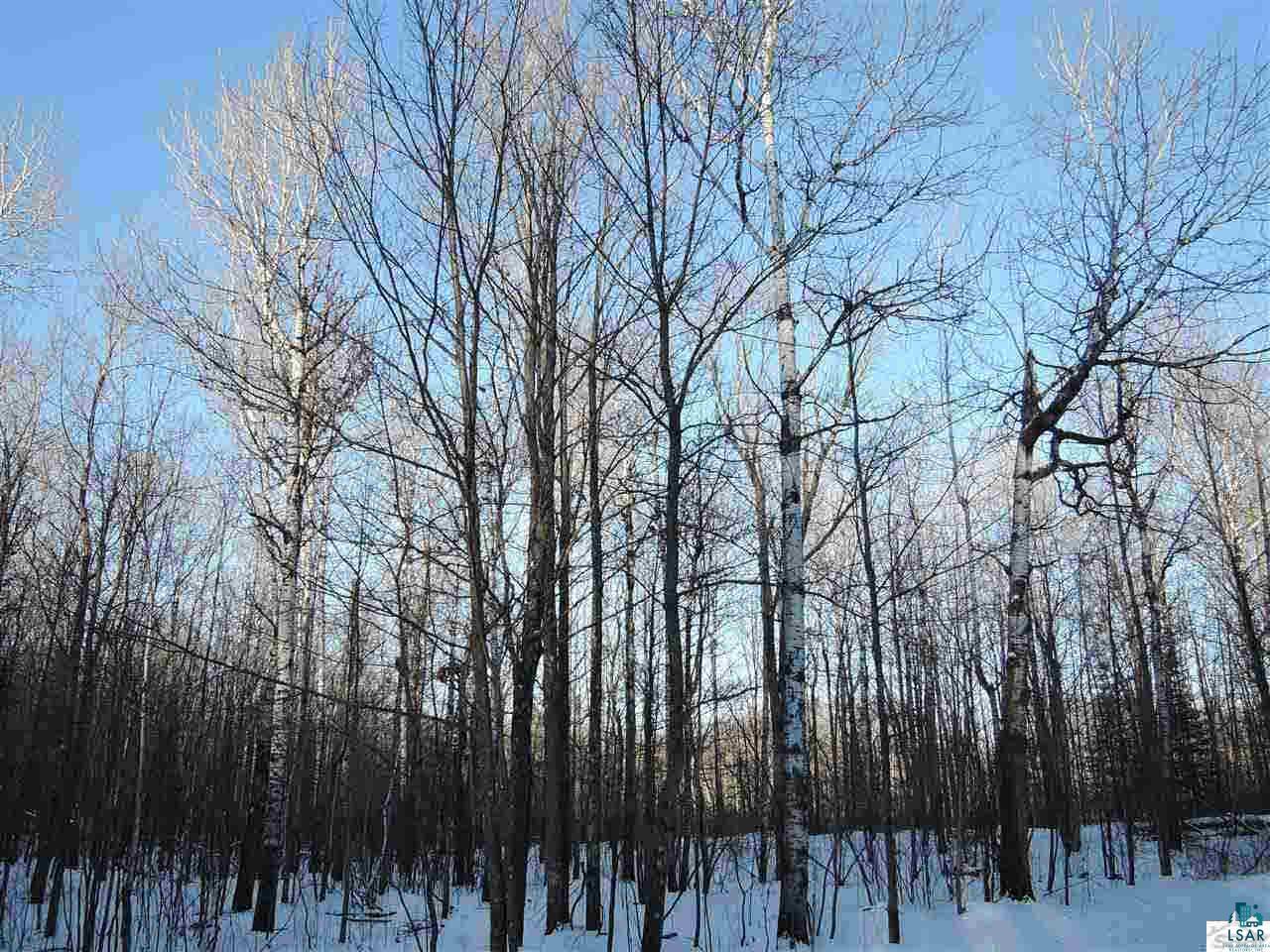 Eight Rd Grand View Cable, WI 54821 - Photo 7 of 7