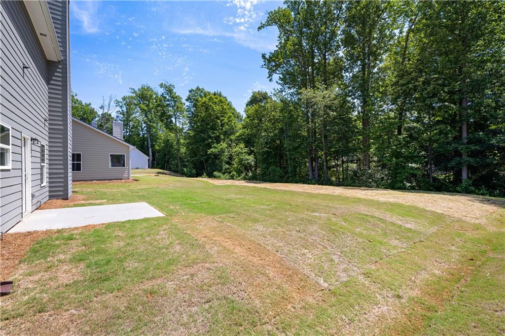 501 Charleston Place Villa Rica, GA 30180 - Photo 4 of 41