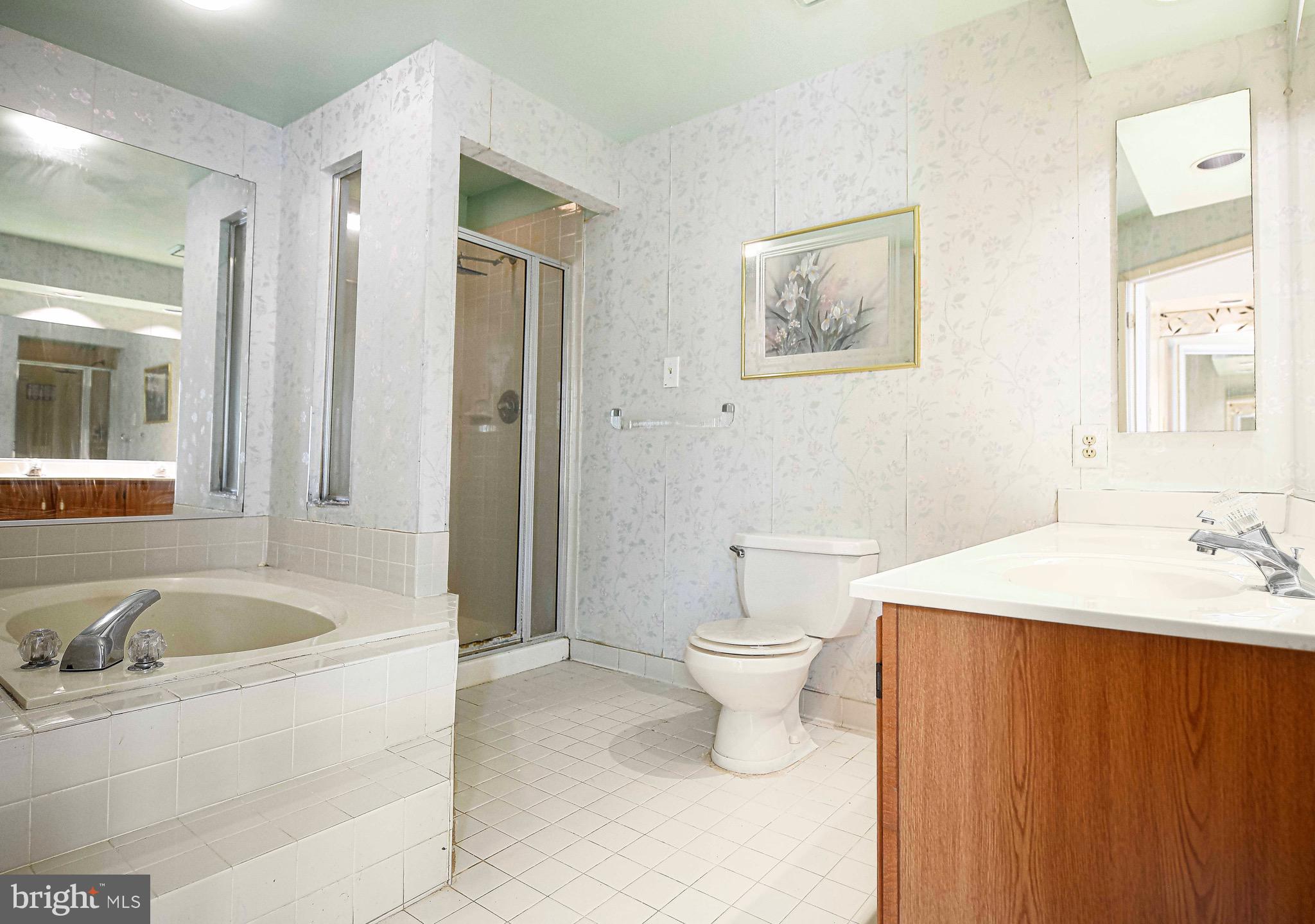 8819 Falcon Ridge Drive Randallstown, MD 21133 - Photo 19 of 38 Primary Bathroom
