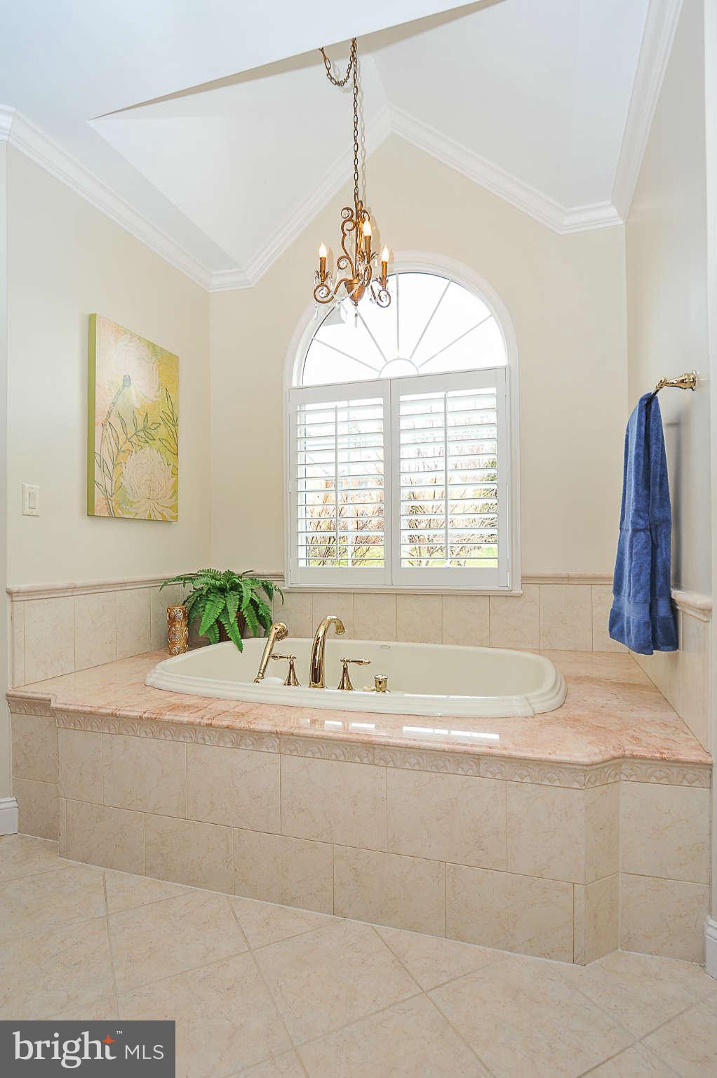 10605 Hannah Farm Road Oakton, VA 22124 - Photo 14 of 30 Bath (Master)