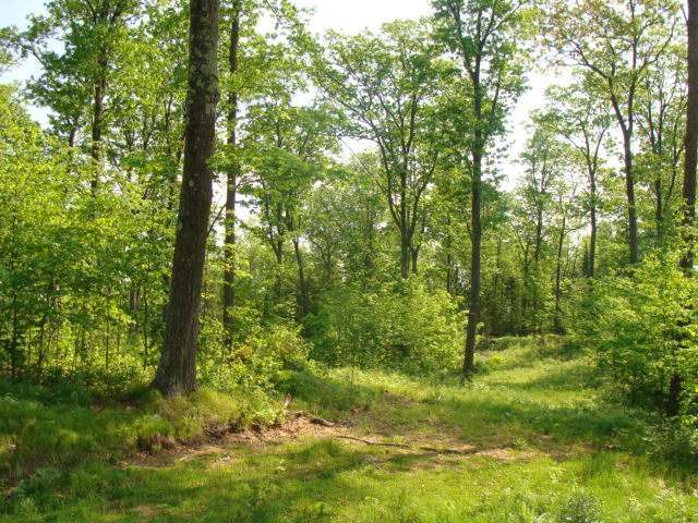 80-ac Off Sand Lake Road Harshaw, WI 54529 - Photo 2 of 8 Gallery Image 2