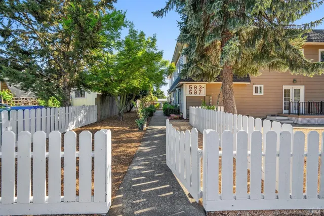 a white house that has tree in front of it