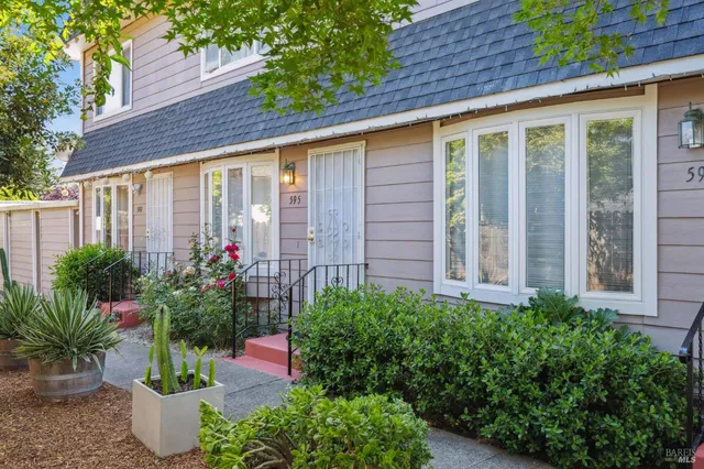 a view of a house with potted plants