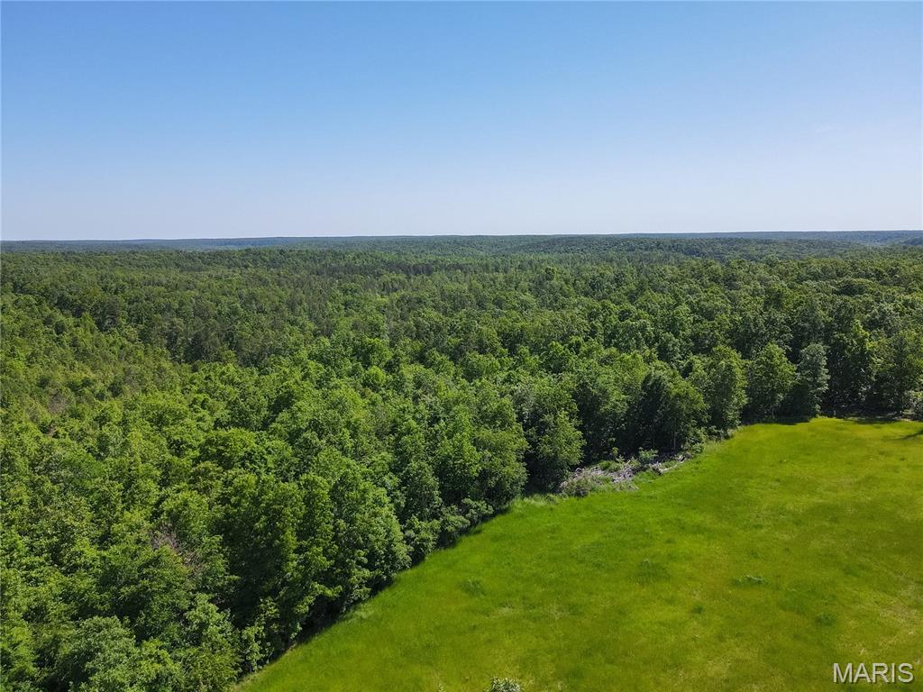 1743 Ripley Route North Doniphan, MO 63935 - Photo 56 of 97