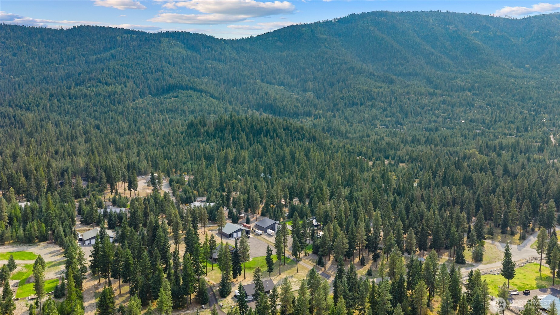 190 Revelstoke Road Cle Elum, WA 98922 - Photo 39 of 39 a view of a lush green forest with lots of trees