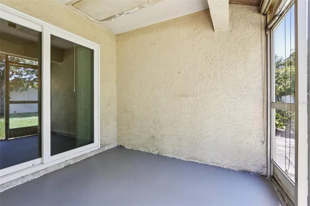 a view of backyard and window