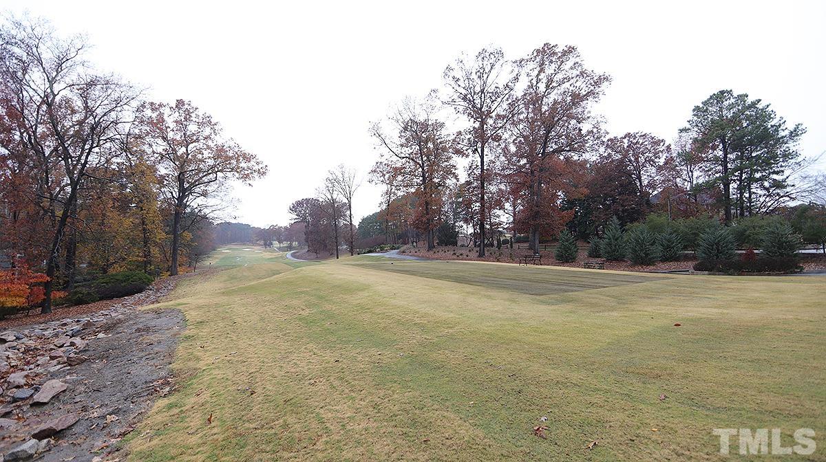 2203 Landings Way Raleigh, NC 27615 - Photo 22 of 22 a view of yard with large trees