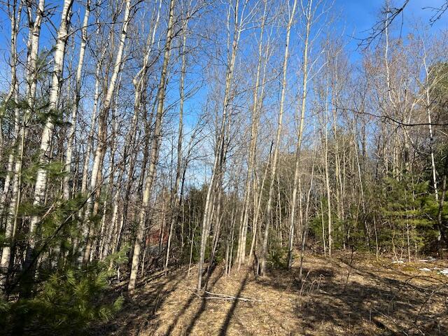 0 Burnt Hill Road Cadyville, NY 12918 - Photo 2 of 5