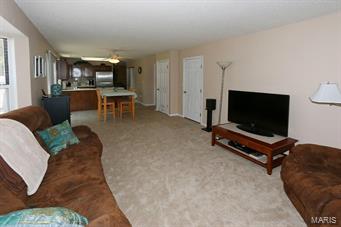 6 Lippizan Road St. Peters, MO 63376 - Photo 9 of 25 Gallery Image 9