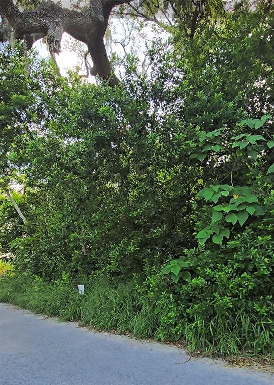 Lenox Drive New Port Richey, FL 34653 - Photo 3 of 4