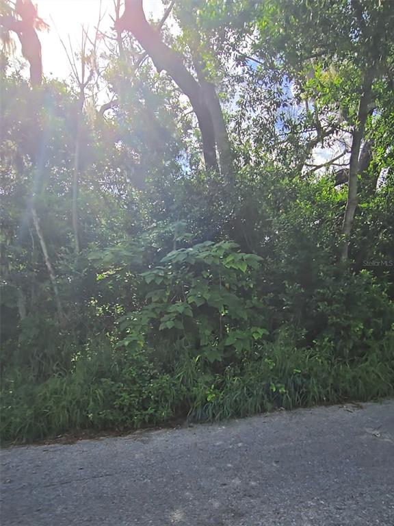 Lenox Drive New Port Richey, FL 34653 - Photo 4 of 4