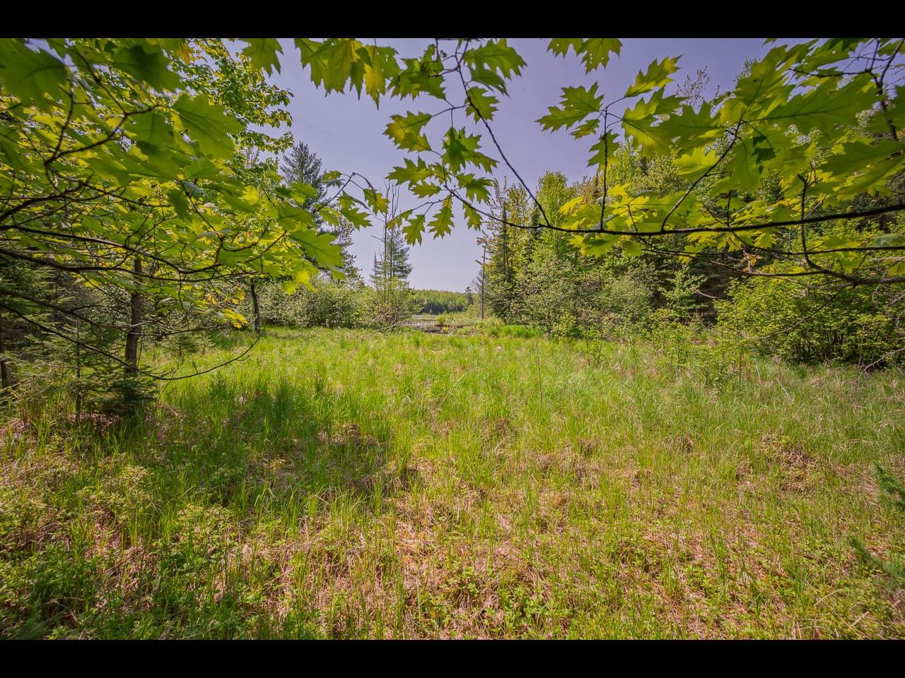 Lot 13 Memory Lane Eagle River, WI 54521 - Photo 16 of 40 Gallery Image 16