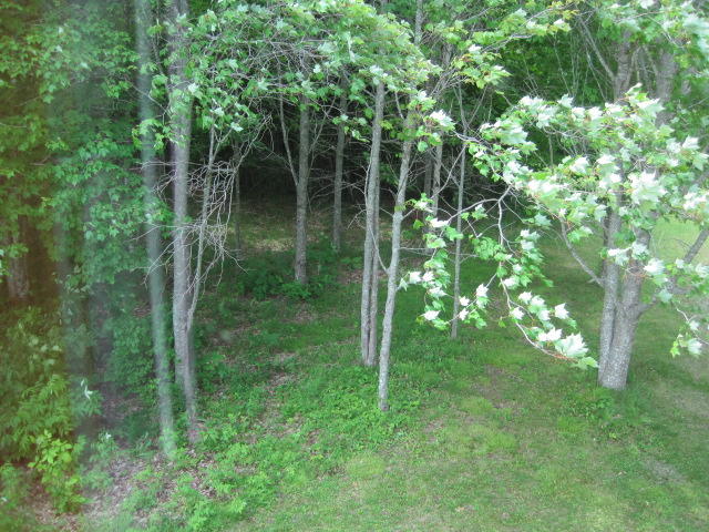 462 N Road Carroll Plt, ME 04487 - Photo 33 of 37 IMG_0024