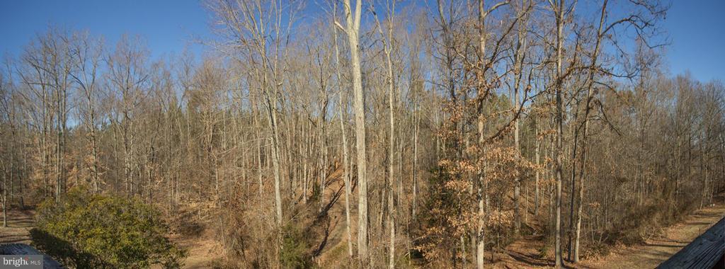 32551 Indiantown Road Locust Grove, VA 22508 - Photo 22 of 30 Exterior (Rear)