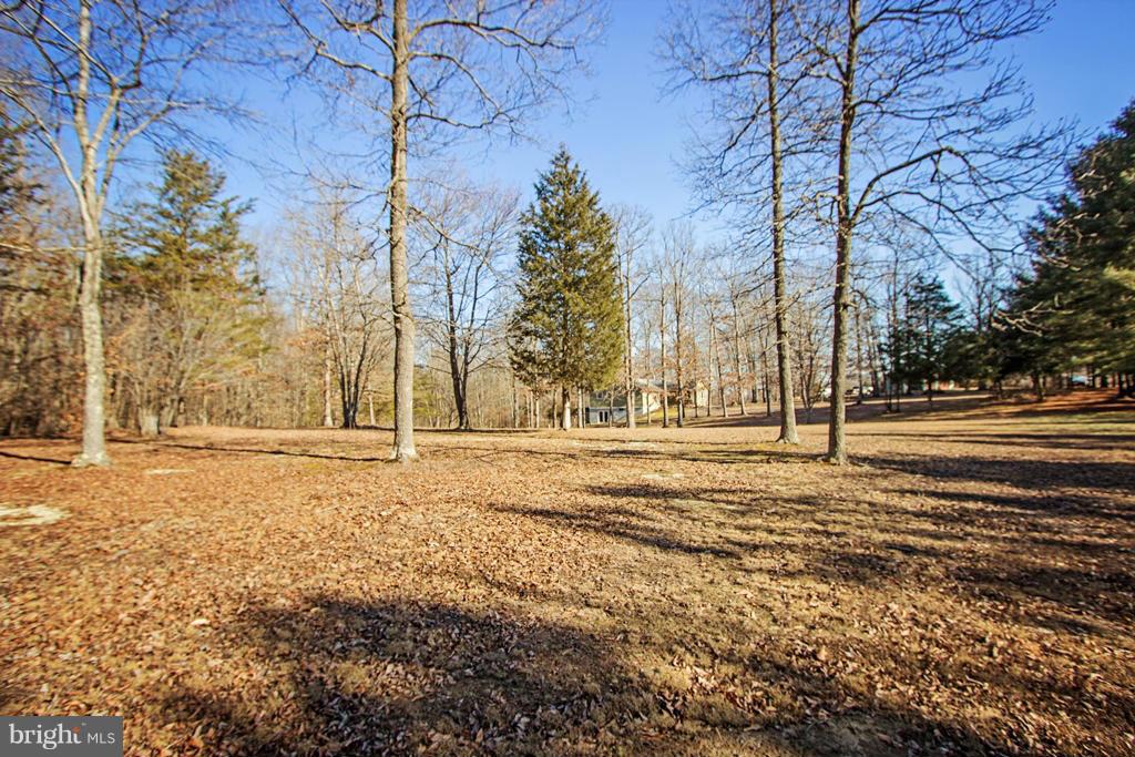 32551 Indiantown Road Locust Grove, VA 22508 - Photo 30 of 30 Lots of space for your garden
