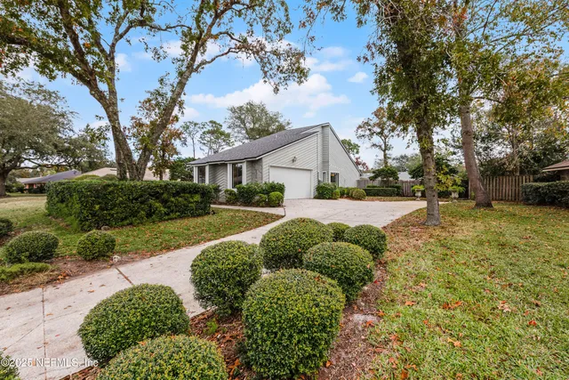 a view of a garden with plants and large tree