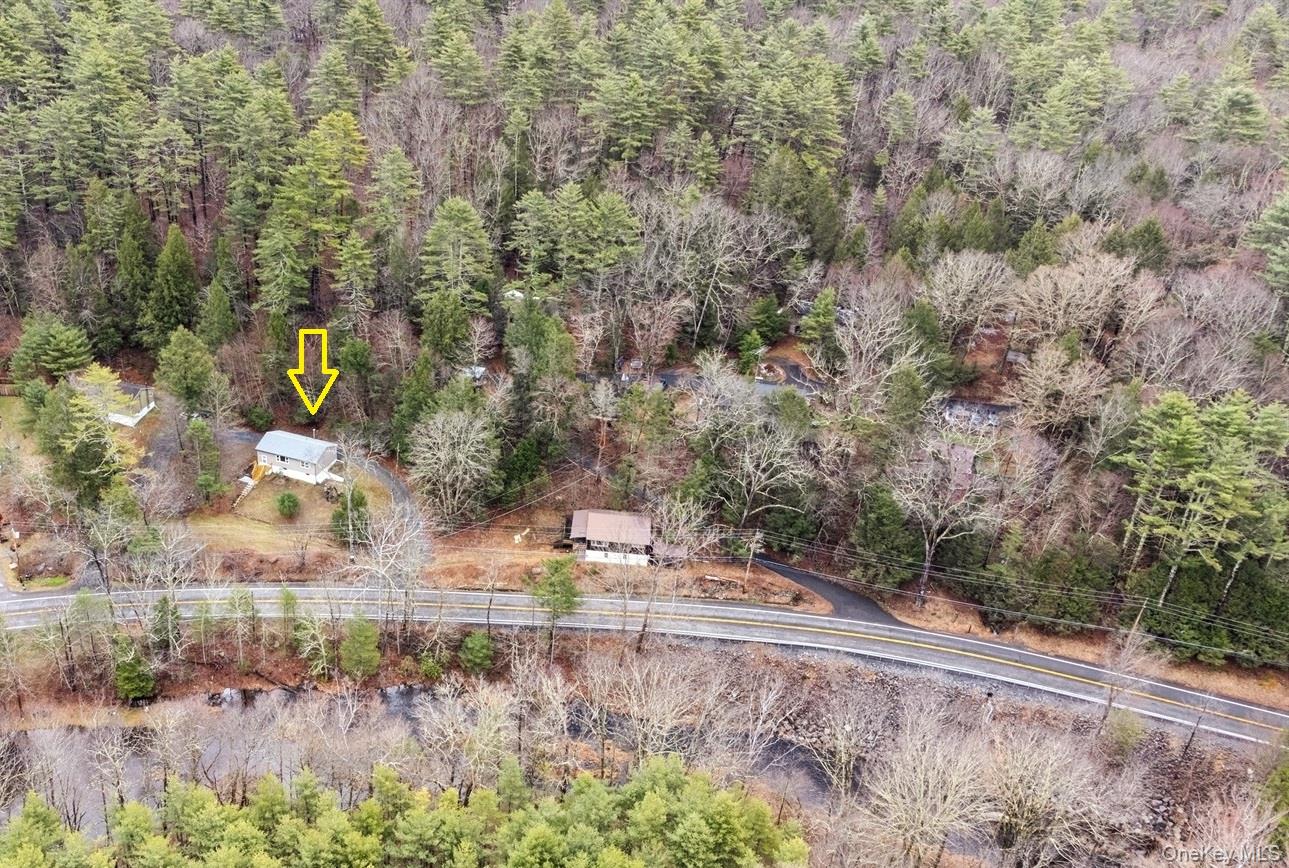 736 State Rte 55 Napanoch, NY 12458 - Photo 31 of 49 Drone / aerial view with a view of trees