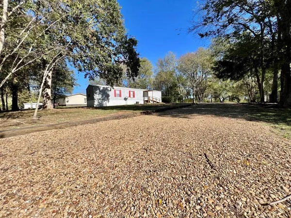 a street view with yard