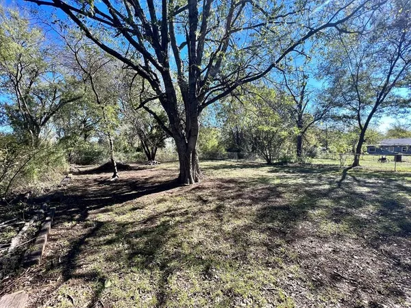 a view of outdoor space with trees