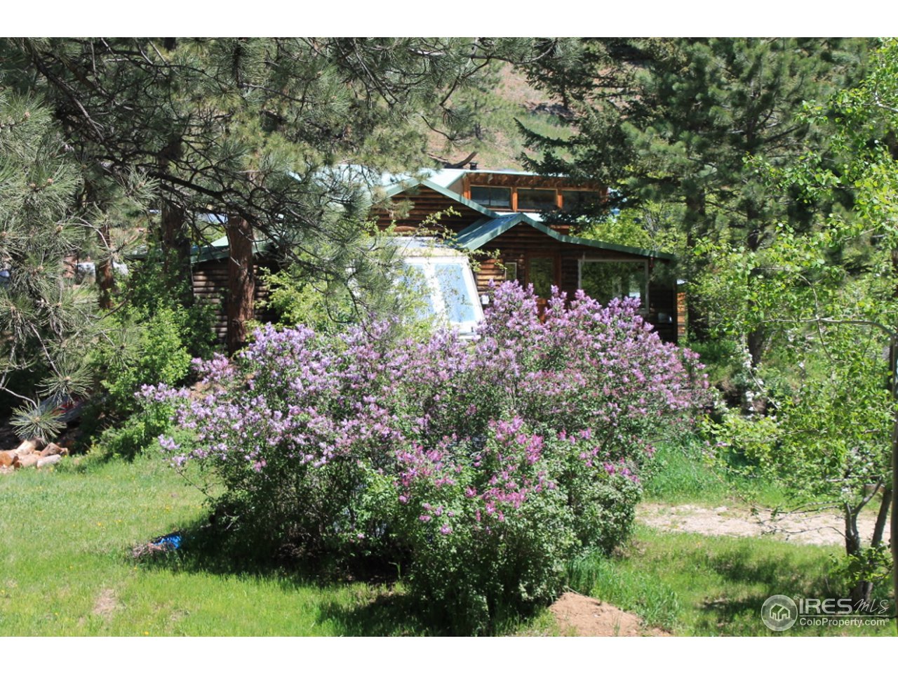 11220 Rist Canyon Road Bellvue, CO 80512 - Photo 1 of 25 a view of a garden with plants