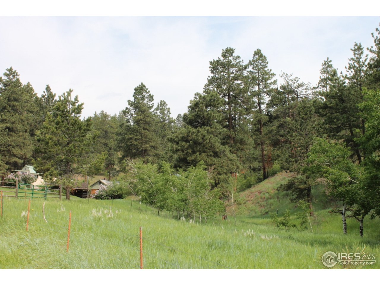 11220 Rist Canyon Road Bellvue, CO 80512 - Photo 24 of 25 a view of a field with trees in the background
