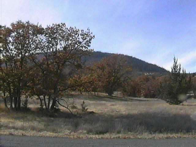 656 Racoon Court Hornbrook, CA 96044 - Photo 1 of 2 Gallery Image 1