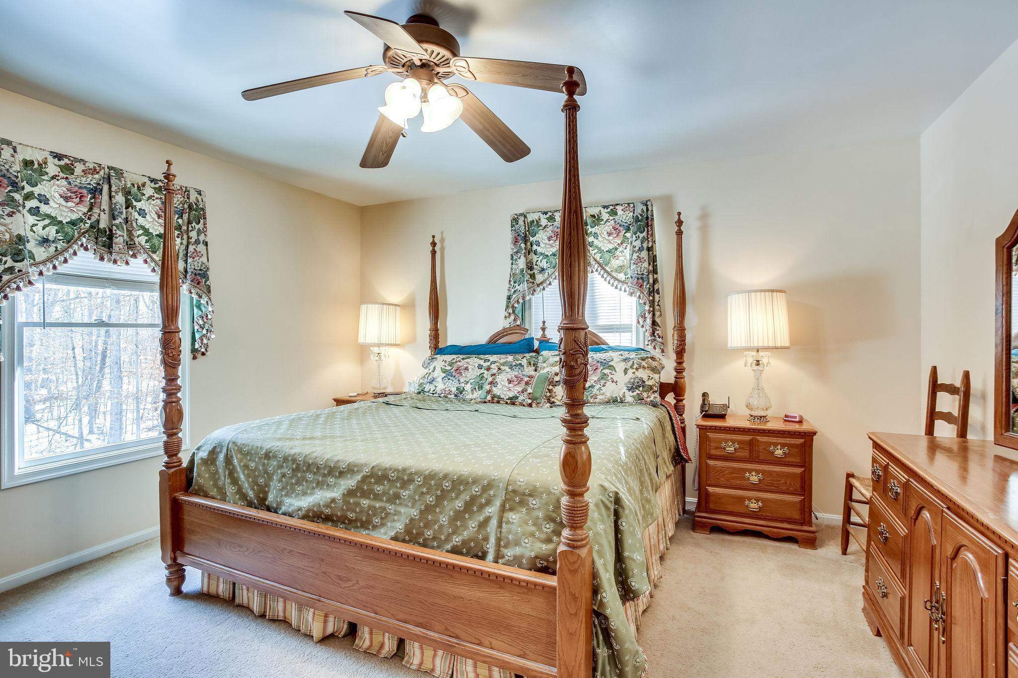 21261 Yellow Bottom Road Lignum, VA 22726 - Photo 20 of 42 Large Master Bedroom