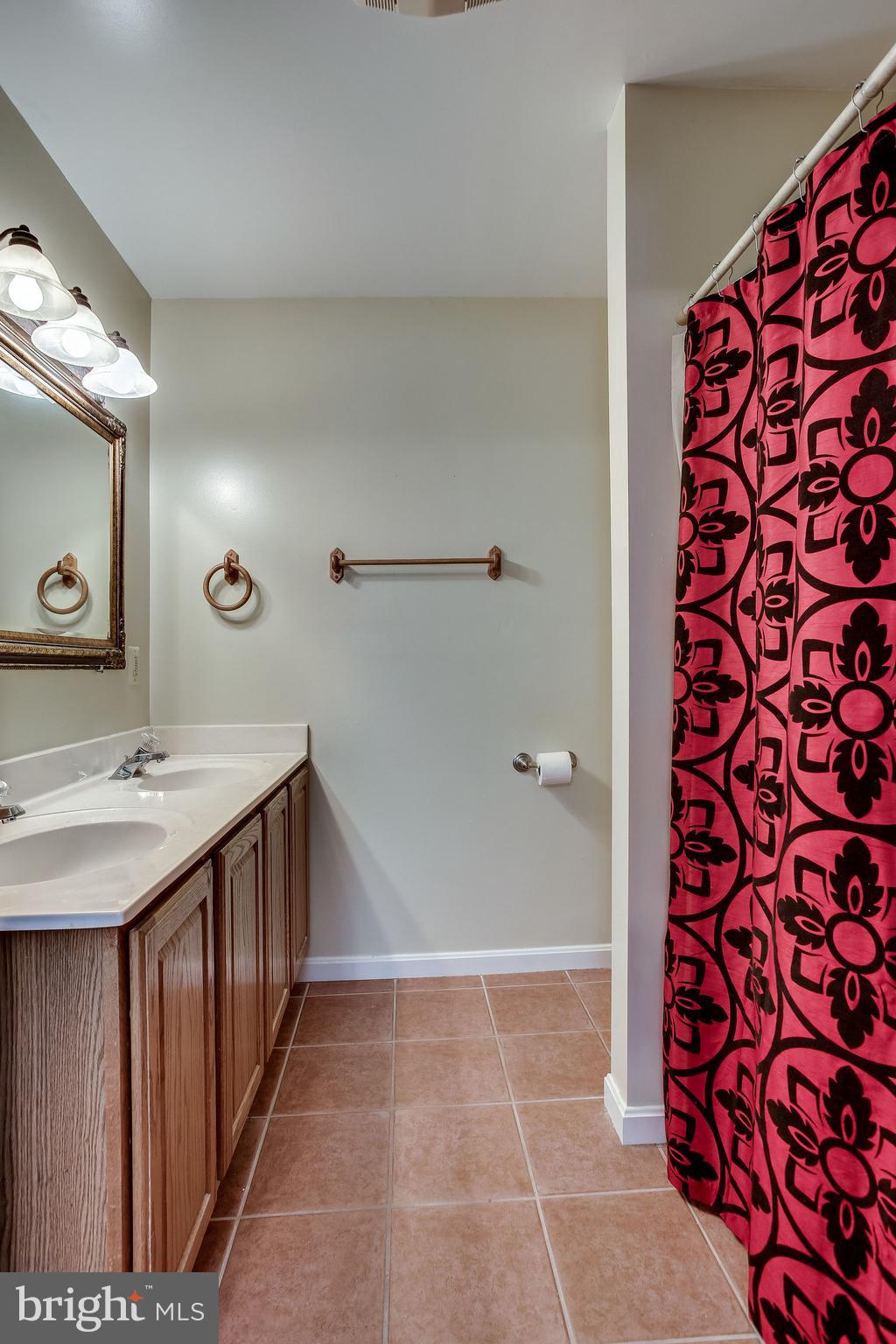 21261 Yellow Bottom Road Lignum, VA 22726 - Photo 22 of 42 Master Bathroom