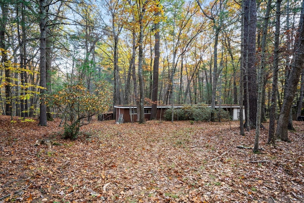 89 Lexington Road Lincoln, MA 01773 - Photo 3 of 9 a backyard of a house with lots of green space