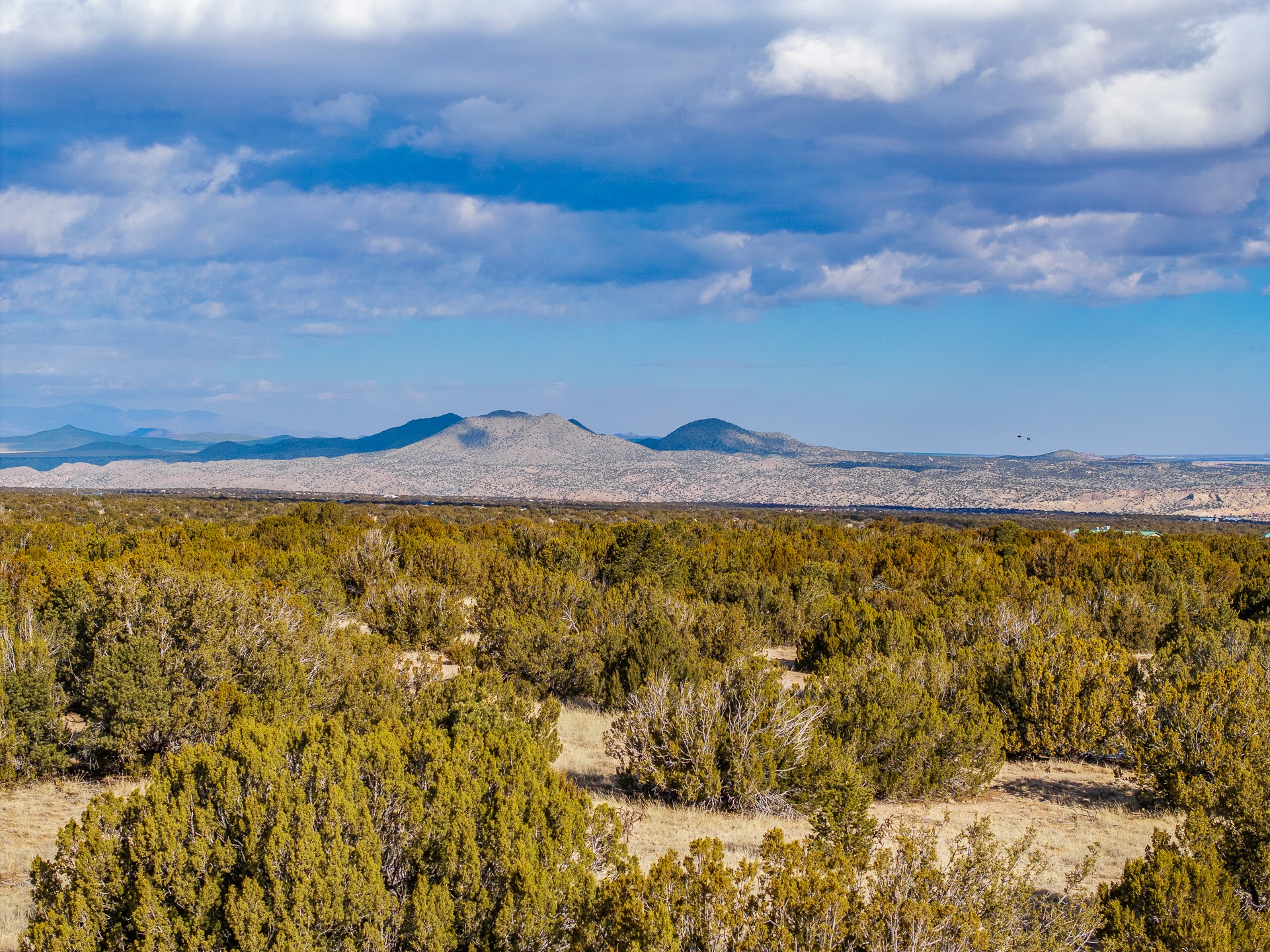 156 Wagon Trail Road Cerrillos, NM 87010 - Photo 11 of 24