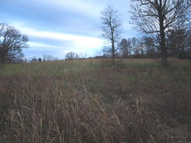 10 3 Ac Austin Hollow Road Pleasant Shade, TN 37145 - Photo 1 of 10 Gallery Image 1