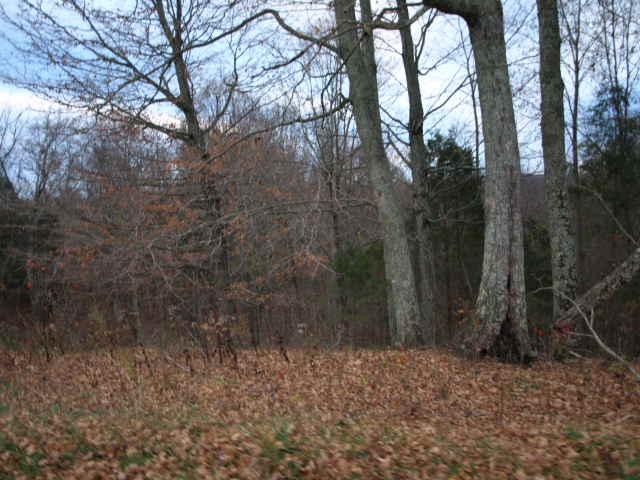 10 3 Ac Austin Hollow Road Pleasant Shade, TN 37145 - Photo 3 of 10 Gallery Image 3