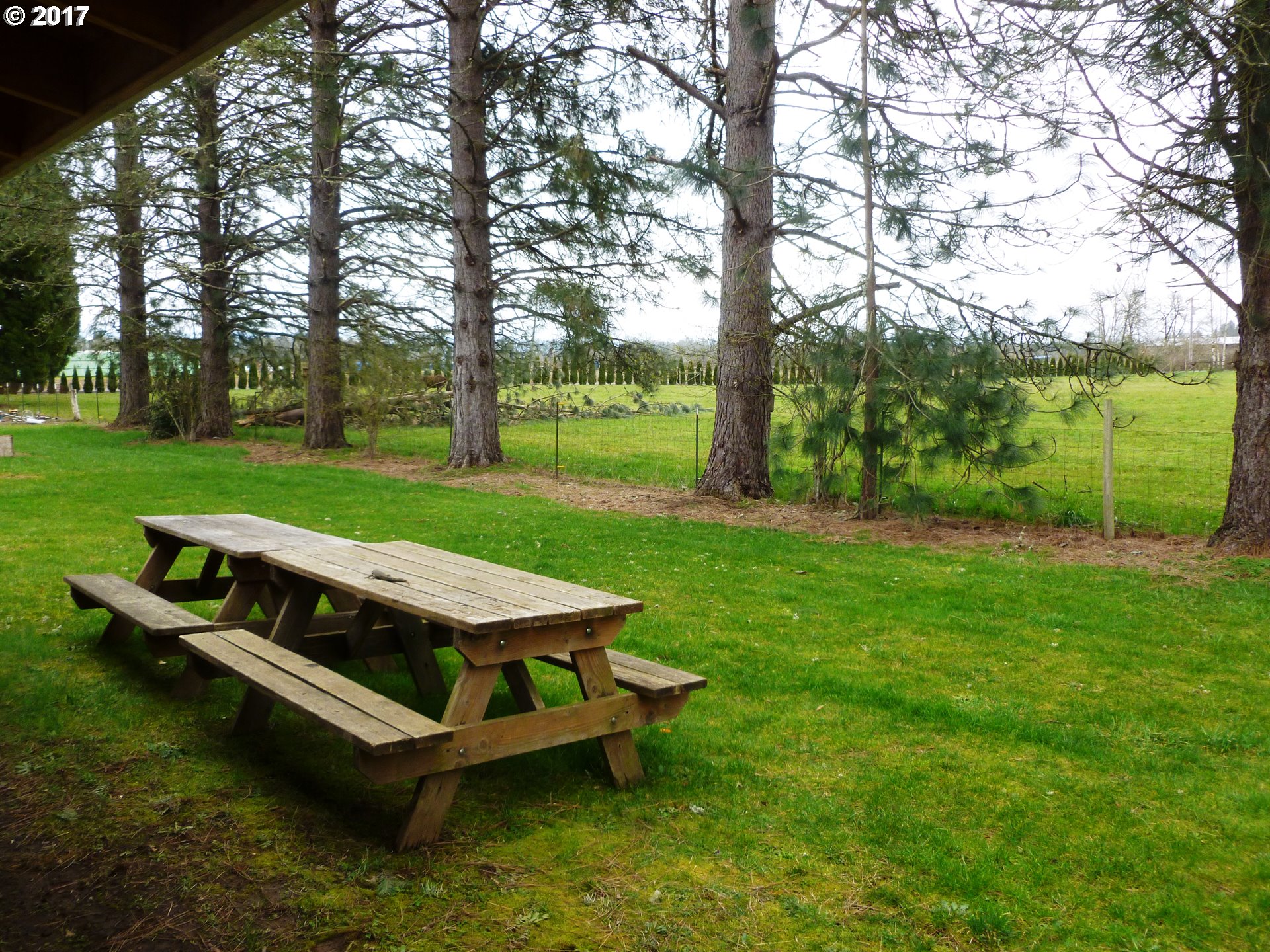 12656 South Macksburg Road Canby, OR 97013 - Photo 9 of 26 a view of a backyard with wooden floor and a bench in the garden