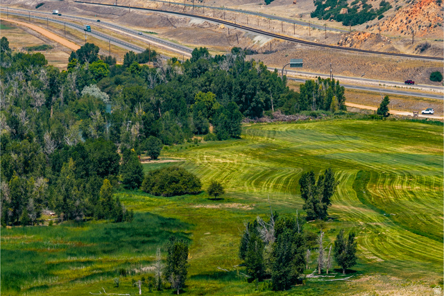 South Echo Frontage Road East Henefer, UT 84033 - Photo 19 of 20 Expansive green landscape with varied terrain, featuring mature trees, a natural growth area, and a mowed field