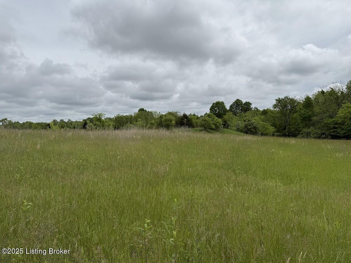 760 New Cut Road Campbellsburg, KY 40011 - Photo 12 of 24 Flat and trees