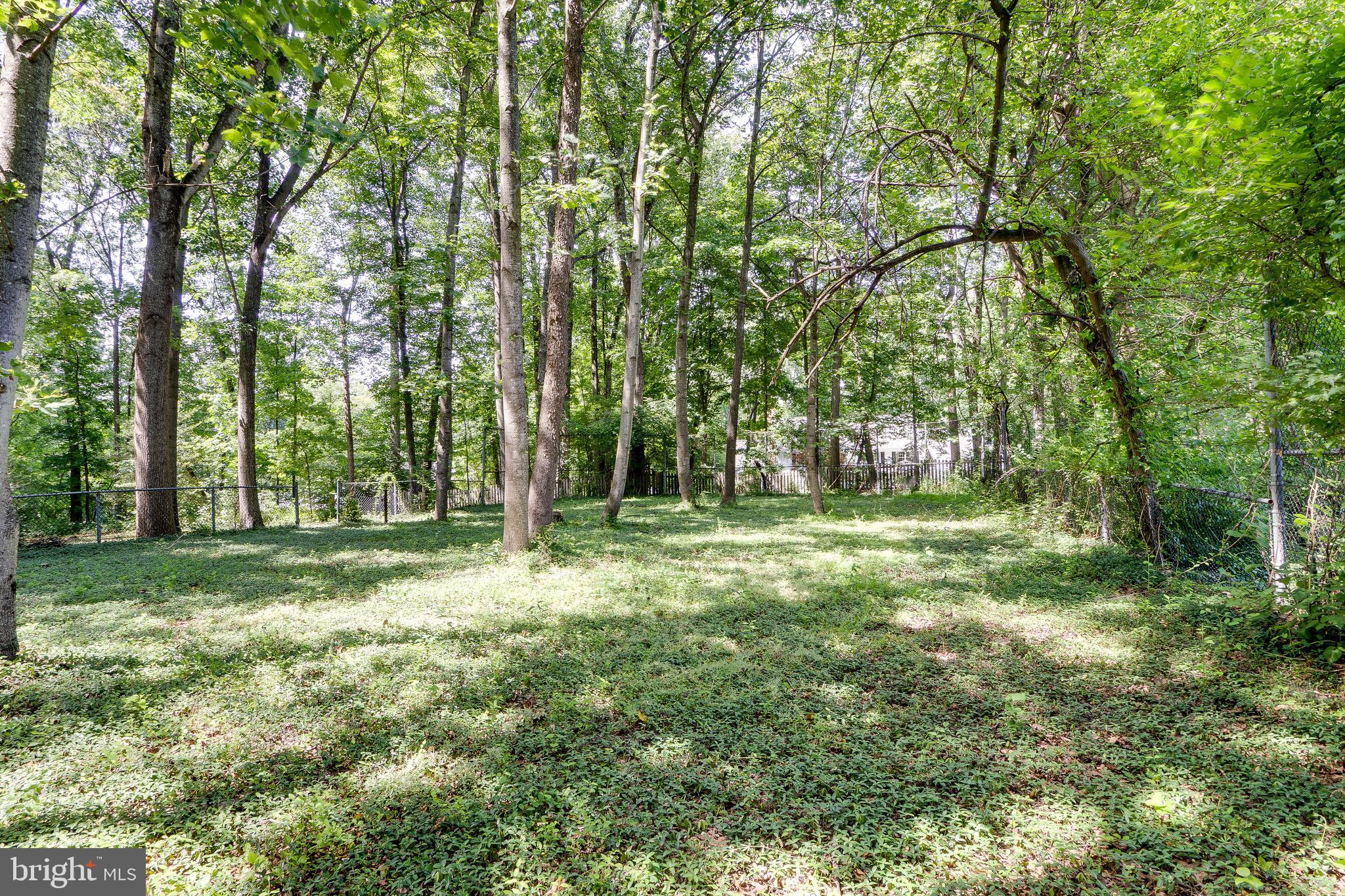 10236 Lawyers Road Vienna, VA 22181 - Photo 47 of 47