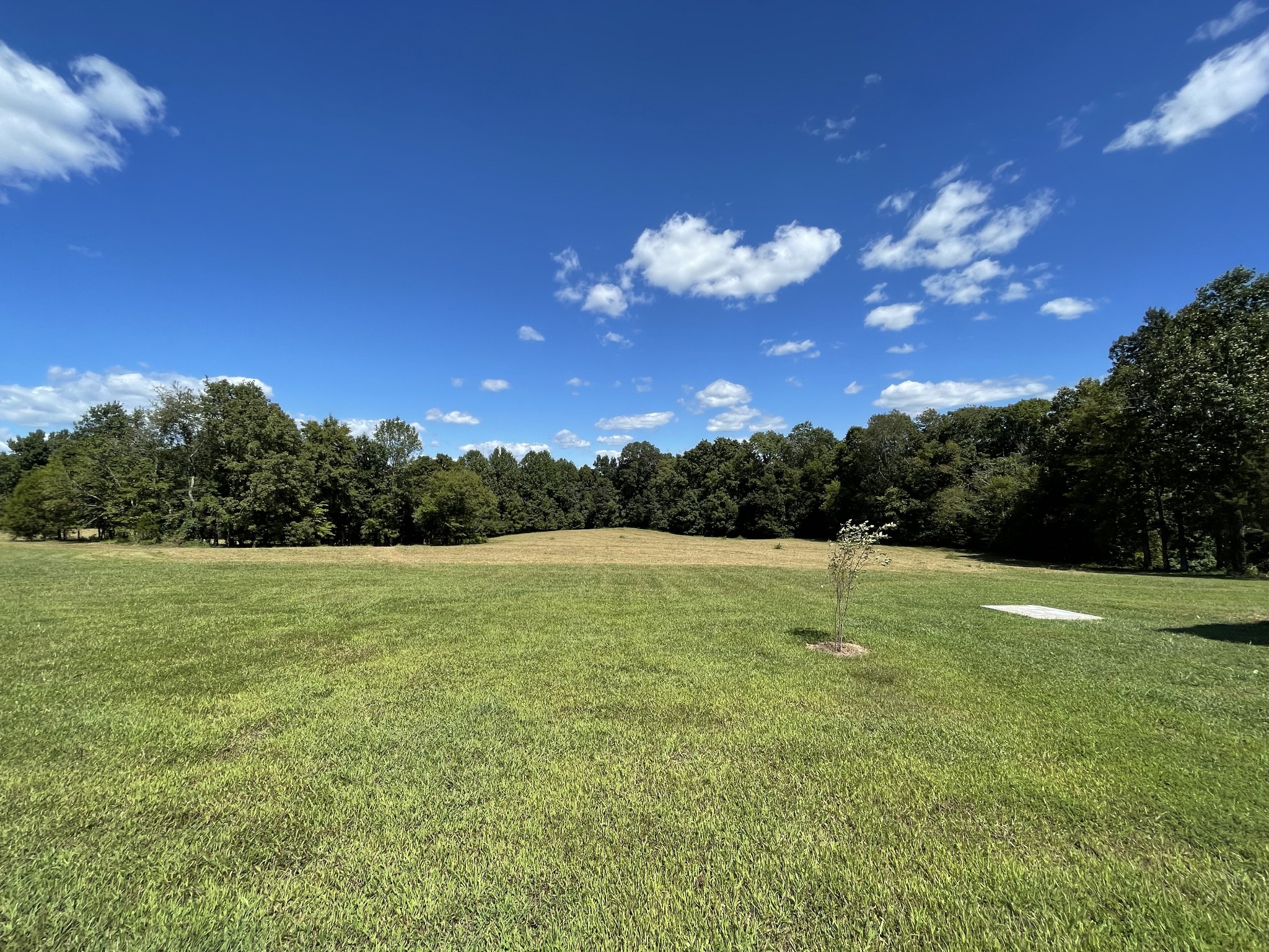 426 Cothran Road Waynesboro, TN 38485 - Photo 25 of 50 Gallery Image 25