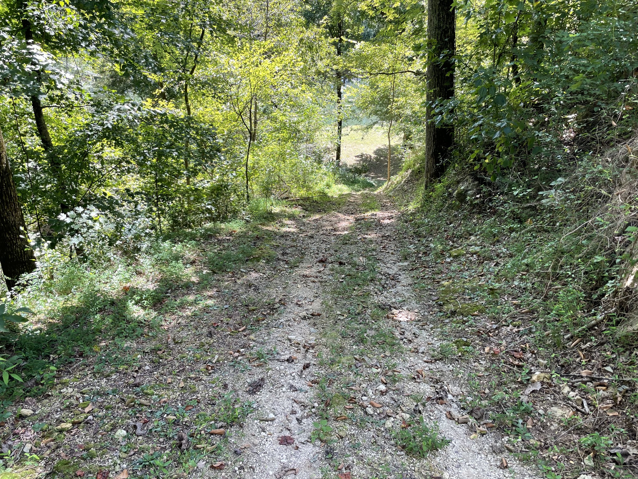 426 Cothran Road Waynesboro, TN 38485 - Photo 29 of 50 Gallery Image 29