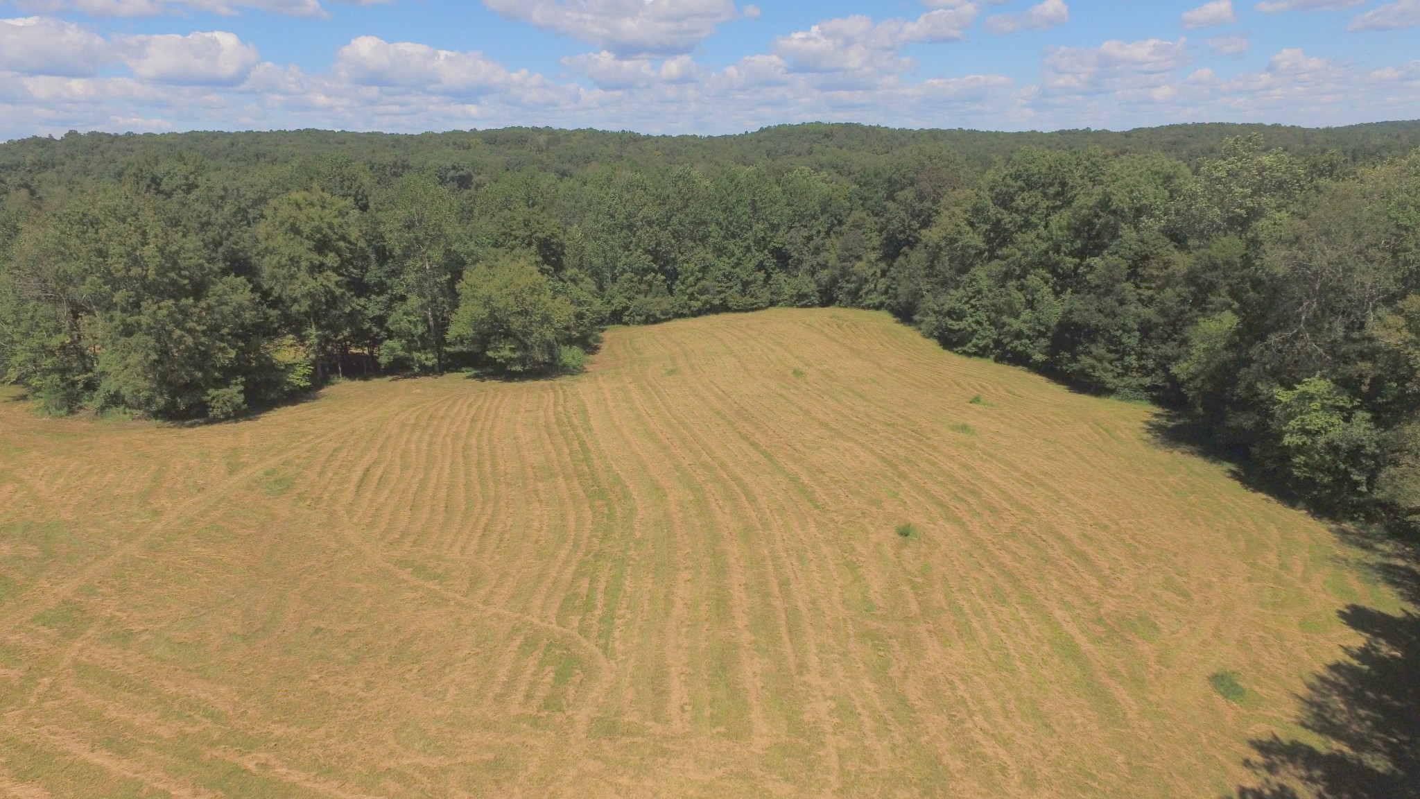 426 Cothran Road Waynesboro, TN 38485 - Photo 43 of 50 Gallery Image 43