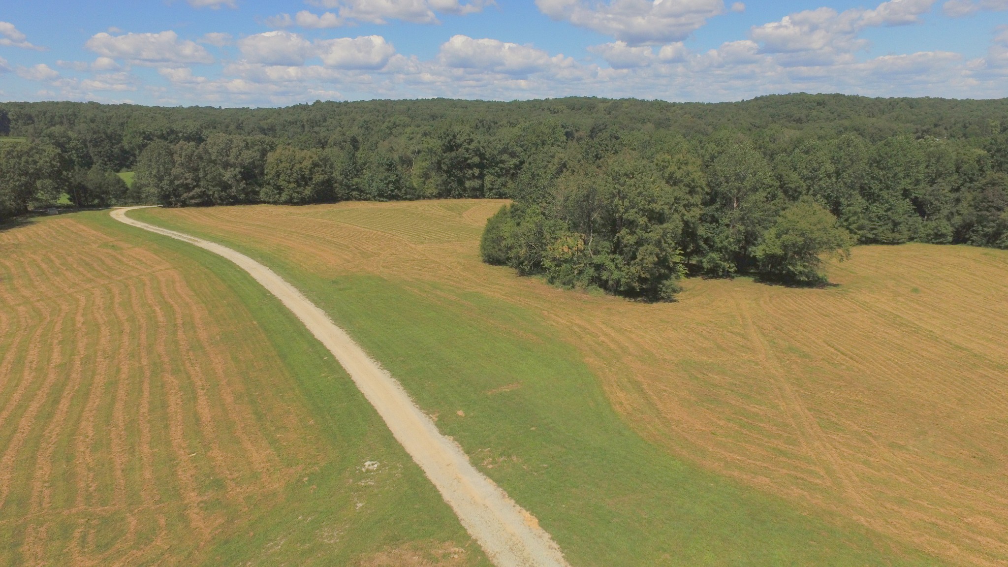 426 Cothran Road Waynesboro, TN 38485 - Photo 44 of 50 Gallery Image 44
