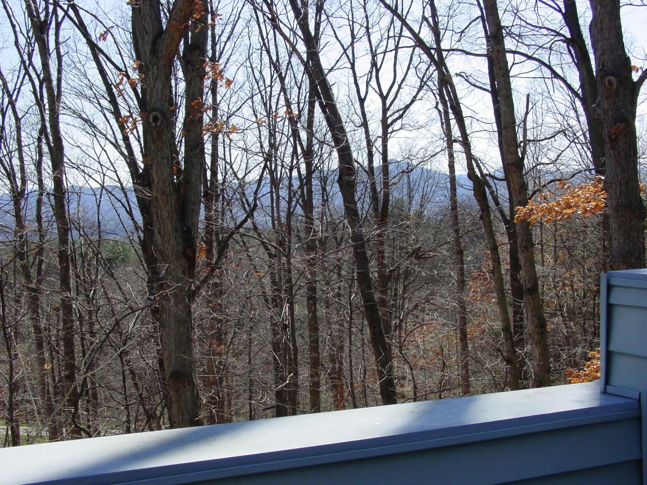 945 West Point Road Salem, VA 24153 - Photo 2 of 14 Terrace View
