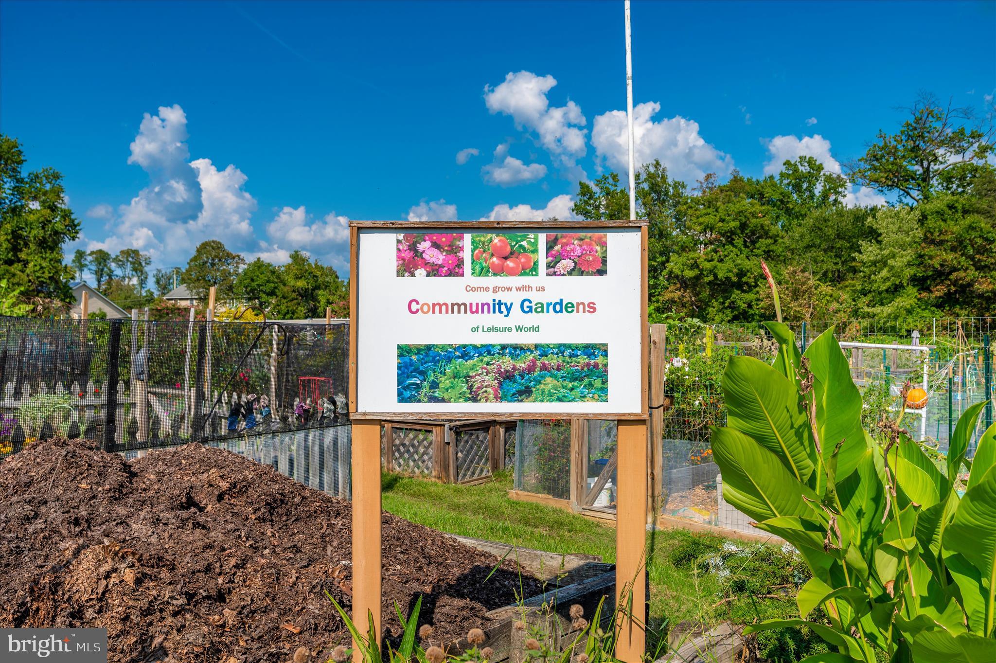 3261 South Leisure World Boulevard, Unit 108F Silver Spring, MD 20906 - Photo 65 of 81 Community Gardens