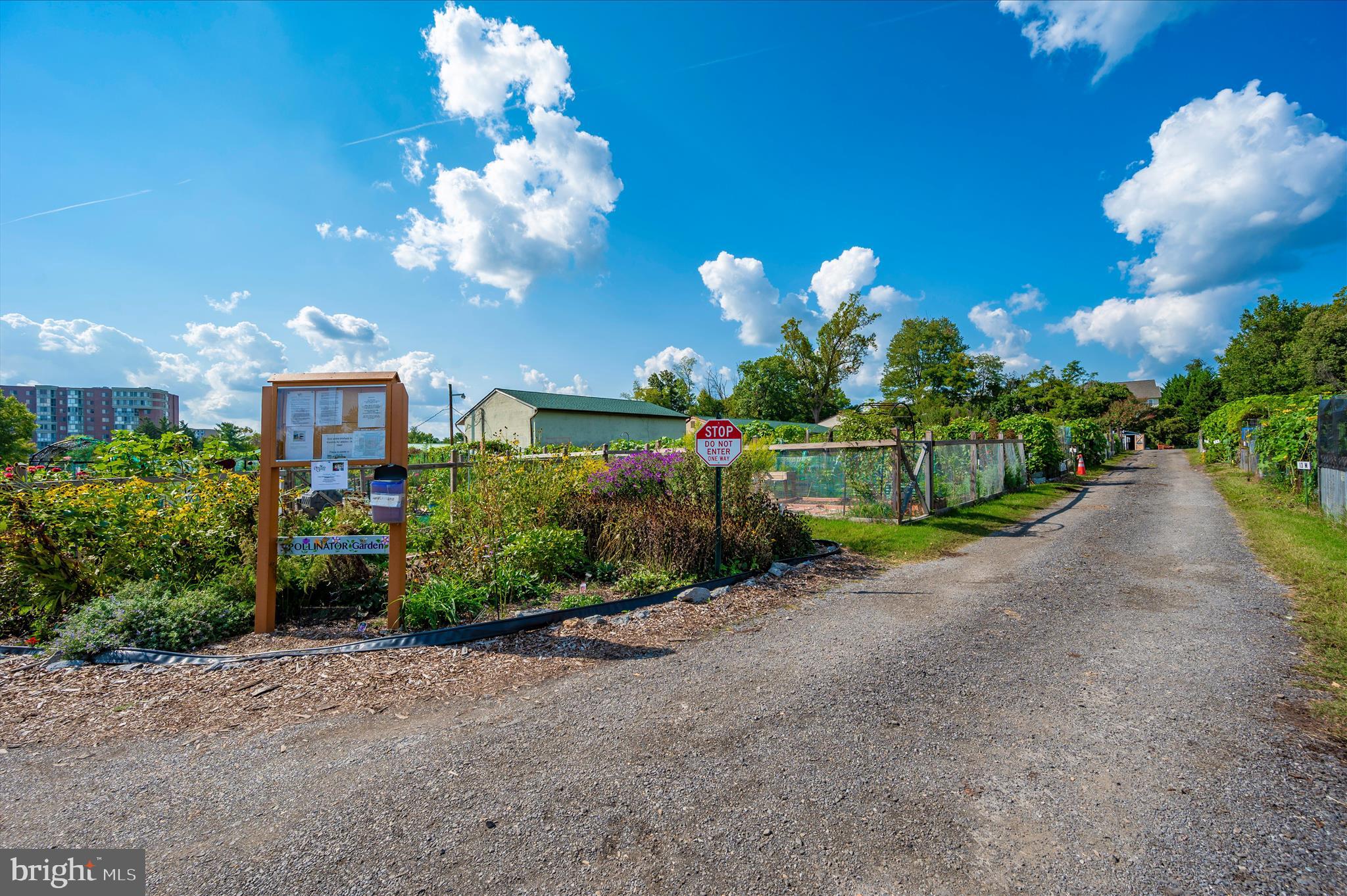 3261 South Leisure World Boulevard, Unit 108F Silver Spring, MD 20906 - Photo 66 of 81 Community Gardens