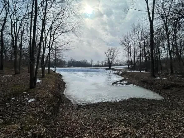 $299,900 | 5018 South Rumsey Road, Pittsford, MI 49271