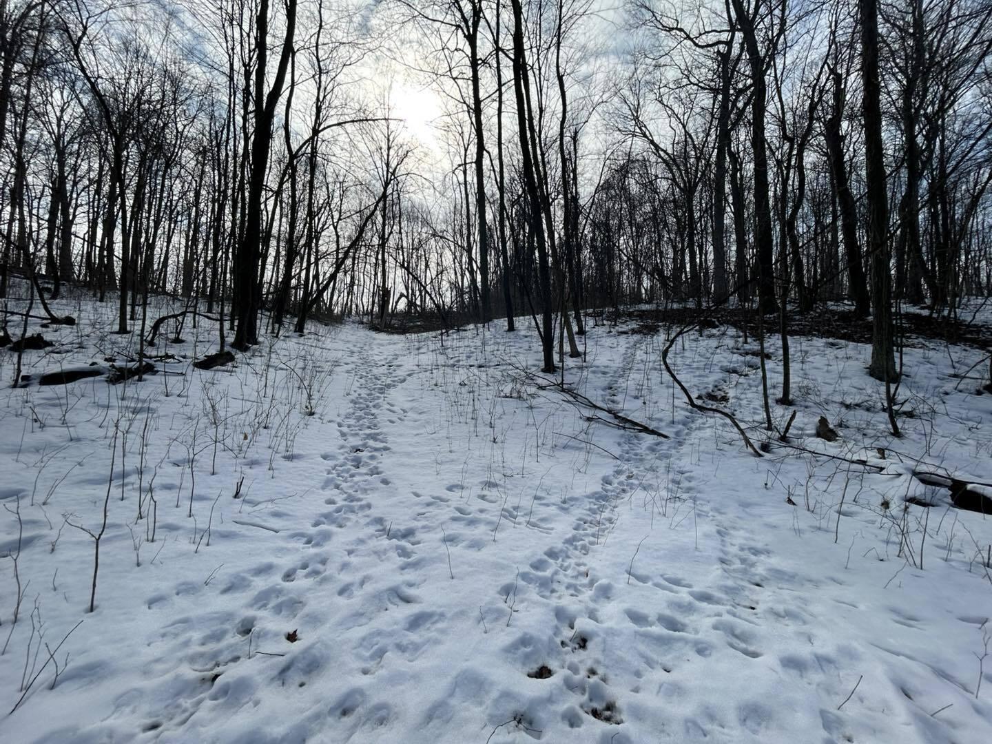 5018 South Rumsey Road Pittsford, MI 49271 - Photo 11 of 16 Way11