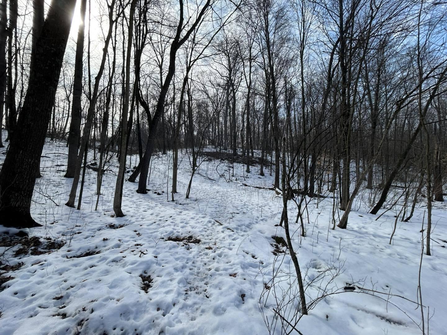 5018 South Rumsey Road Pittsford, MI 49271 - Photo 12 of 16 Way12